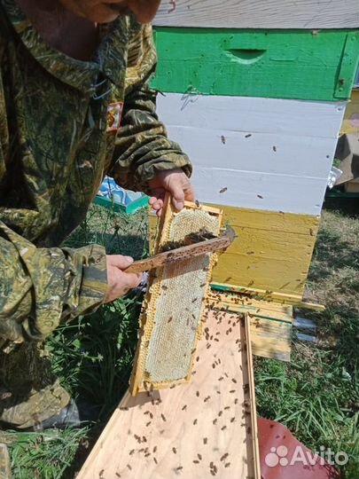 Мед с пасеки