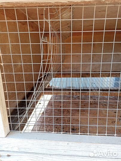 Клетка для кроликов, кур, цыплят