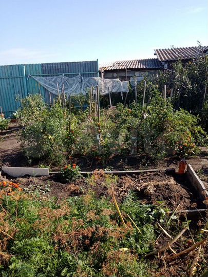 Дом 45,3 м² на участке 12 га