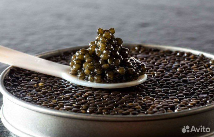 Черная икра