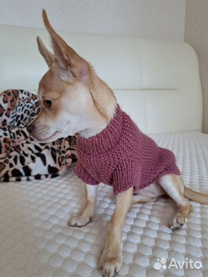 Джемпер вязаный для собачки