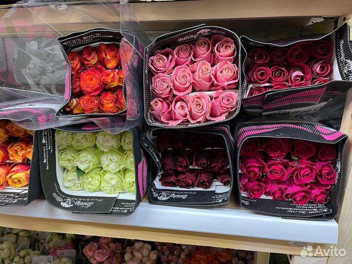 Цветы Оптом розы