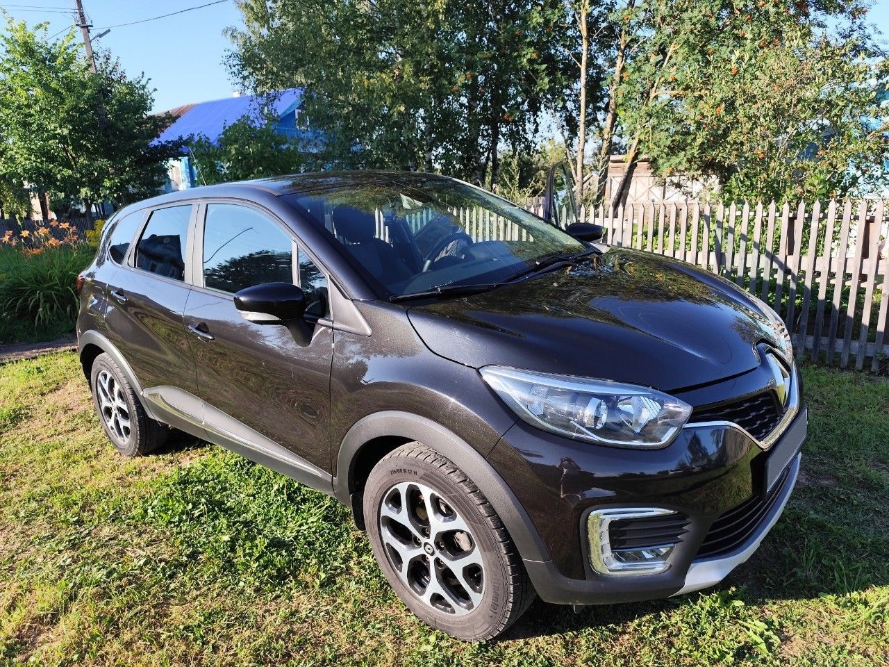 Renault Kaptur: фото владельца
