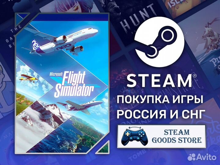 Microsoft Flight Simulator 2020 (Steam)