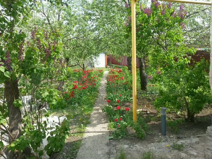 Дом 66 м² на участке 7 сот.