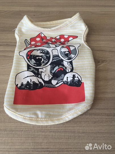 Одежда для собак