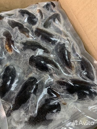 Мидии голубые, зеленые в/м