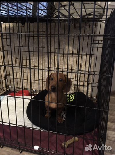 Вольер для собак в квартиру бу