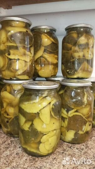 Белый боровой гриб. Сырой груздь. Опята