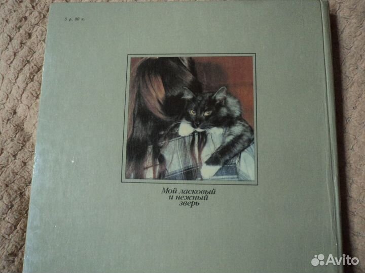 Мой ласковый и нежный зверь (1992).Кошки