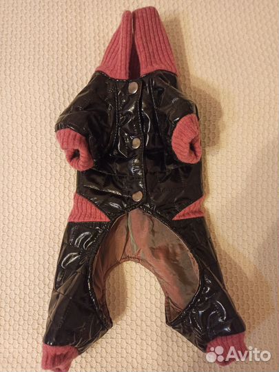 Комбинезон для маленькой собаки