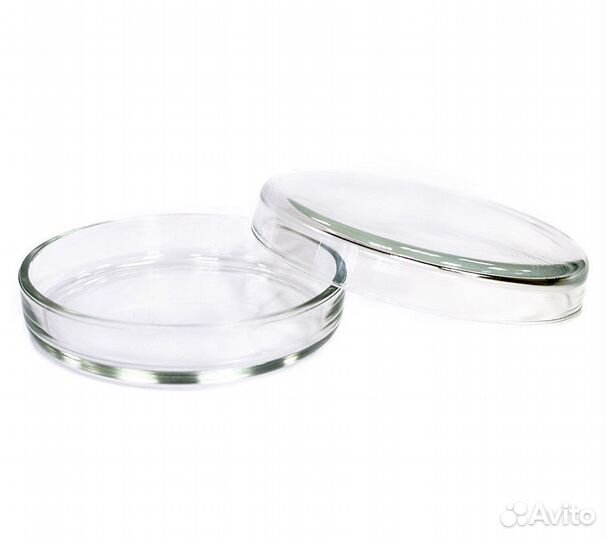 Чашка Петри 100х20 мм, стеклянная, с крышкой