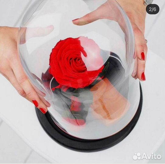 Розы в колбе любые