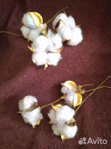 Хлопок коробочки(8шт)