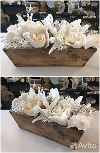 Ракушки / камушки