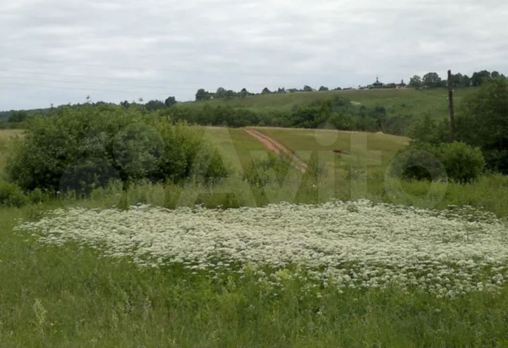 Участок 56 сот. (СНТ, ДНП)