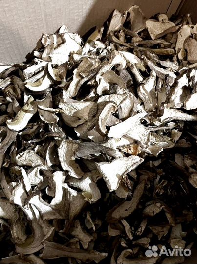 Сушеные белые грибы