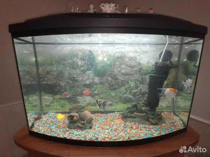 Аквариум с тумбой