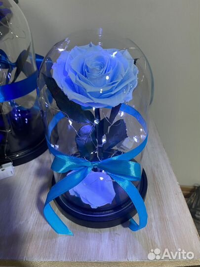 Подарок девушке на 8 марта