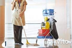 Уборщица (Электросила)