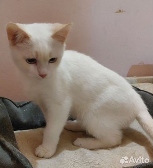 Мальчик красавчик