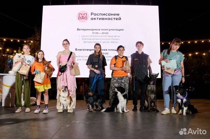 Кинолог. Дрессировка собак