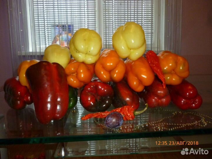 Рассада томатов пеца огурцов