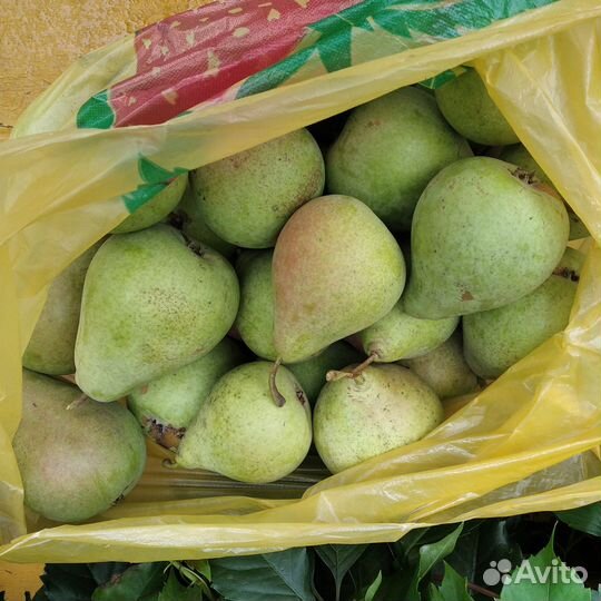 Груши и яблоки с лпх. Самовывоз