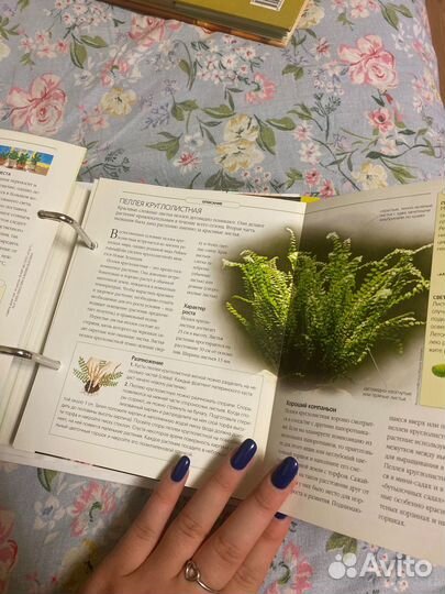 Отдам книгу цветы у дома