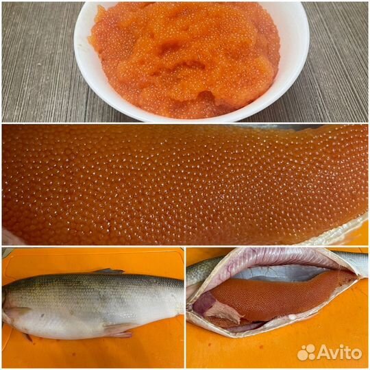 Омуль Арктический отборный, икряной