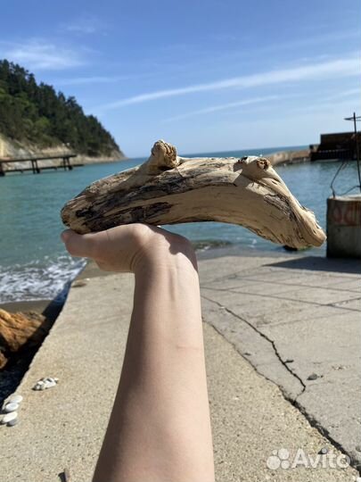 Коряги дрифтвуд