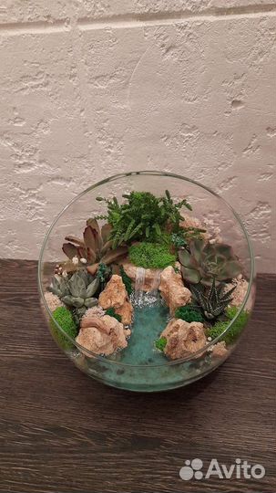 Флорариум подарок девушке