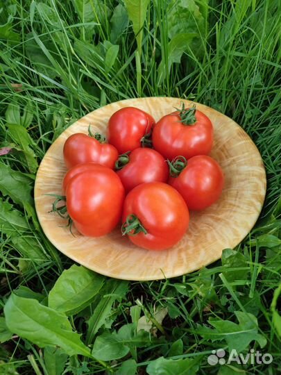 Тарелка из сувеля