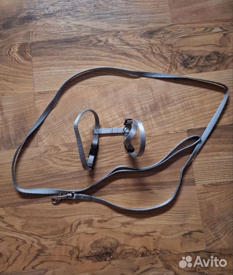 Шлейка для кошки