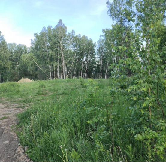 Участок 7,2 сот. (ИЖС)