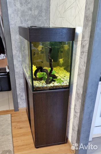 Аквариум с тумбой, 200 литров