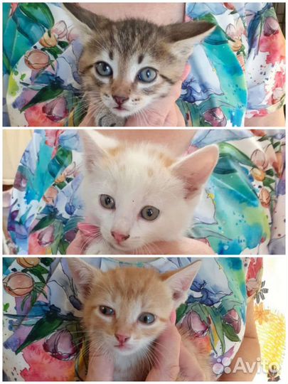 Бездомные мальчишки