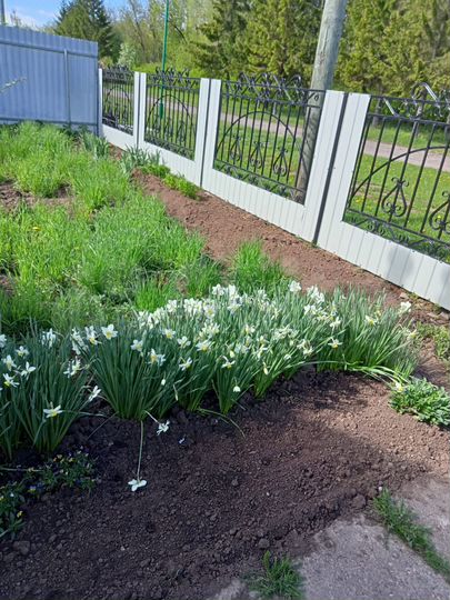 Дом 103,7 м² на участке 12 сот.