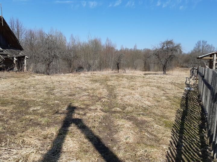 Дом 50 м² на участке 53 сот.