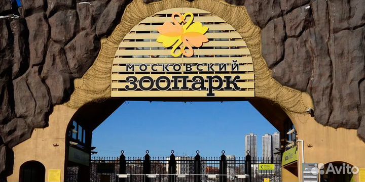 Билет в зоопарк 2 промокода