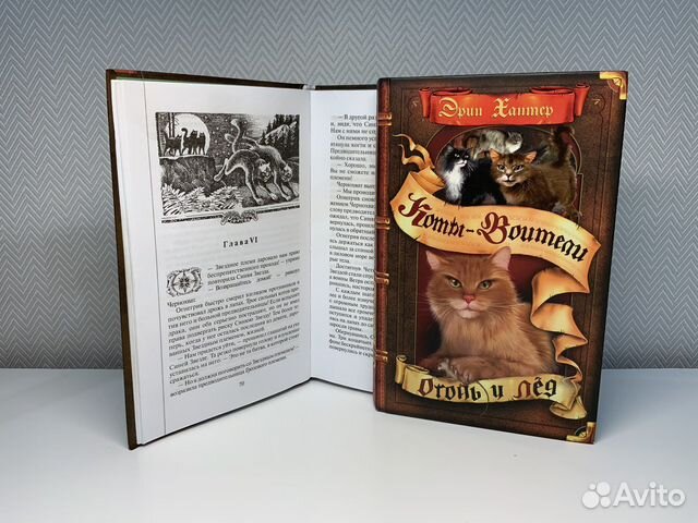 Серия книг «Коты-Воители» Эрин Хантер