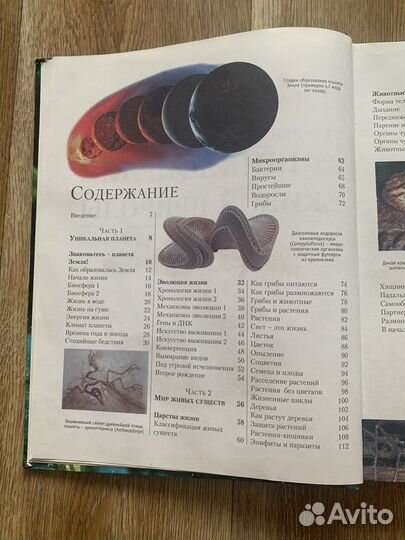 Иллюстрированная энциклопедия