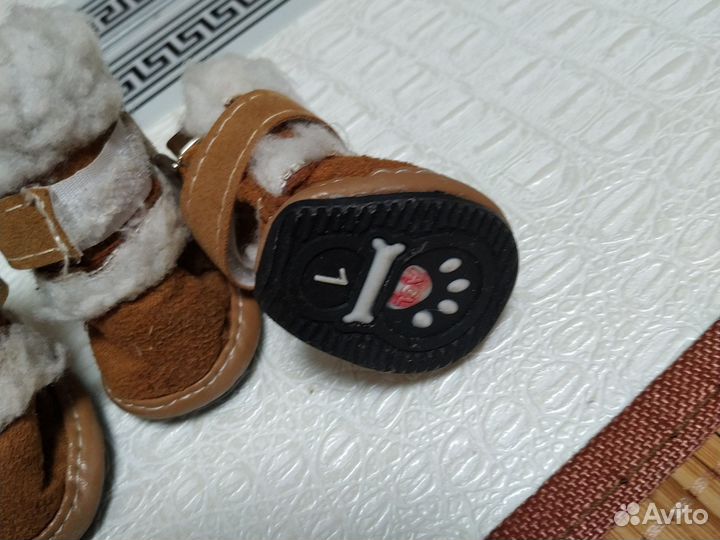 Обувь для маленьких собак