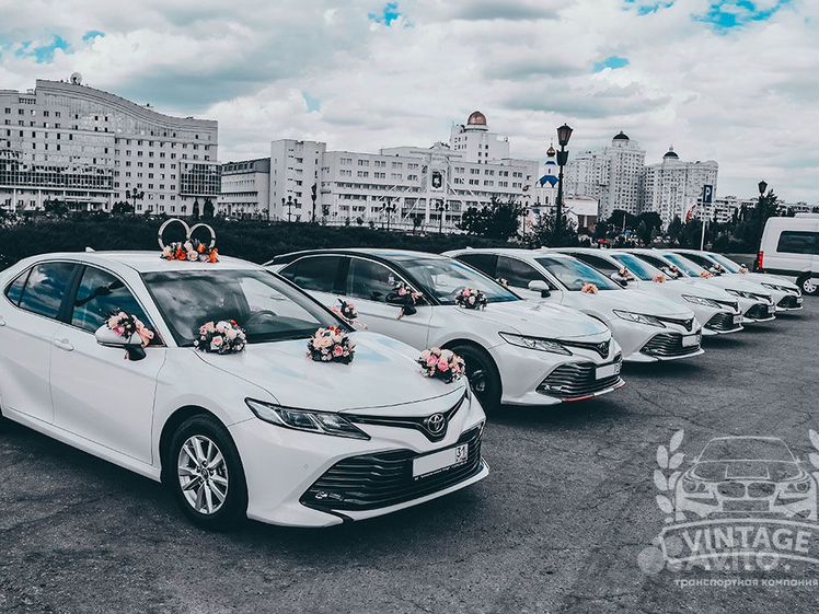 Wheelz аренда машин. Прокат авто Белгород. Идеи фото машин в Белгороде. Аренда машины в Белгороде без водителя