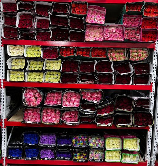 Цветы оптом - срезка оптом для цветочных магазинов