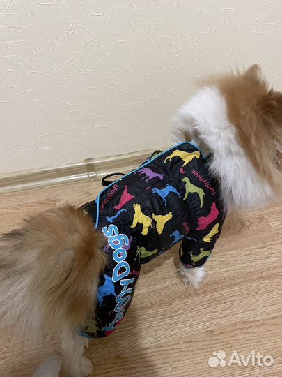 Комбинезон для маленькой собаки