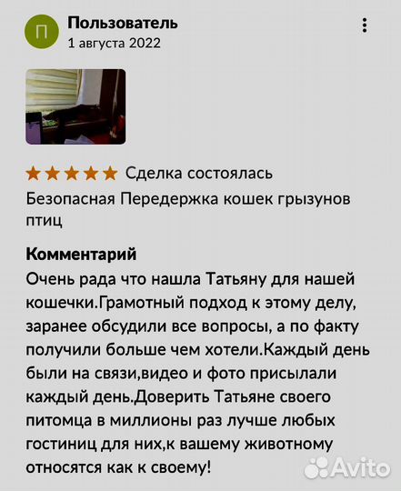 Безопасная Передержка животных кошек грызунов птиц