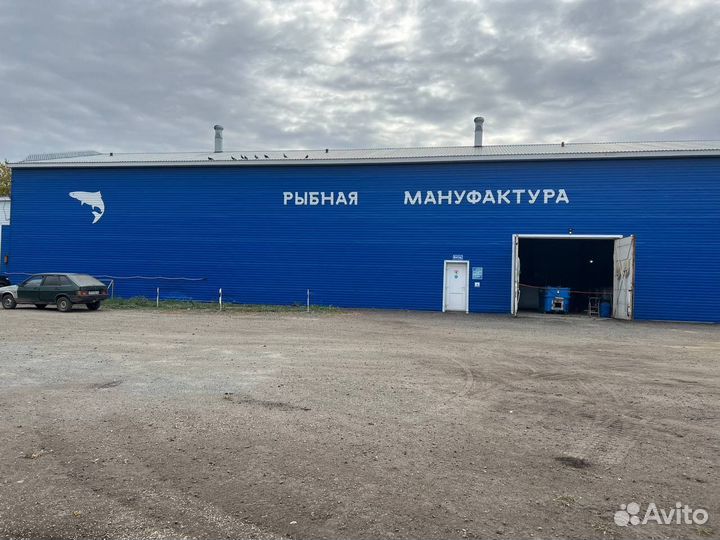 В продаже ферма
