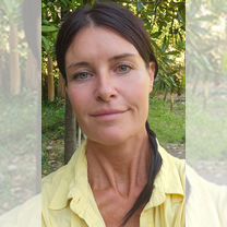 Квантовый психолог. Энергопрактик. Проводник, Гагра