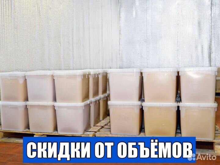 Алтайский Мёд оптом